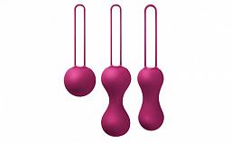 PERSONAL PELVIC TRAINER PINK